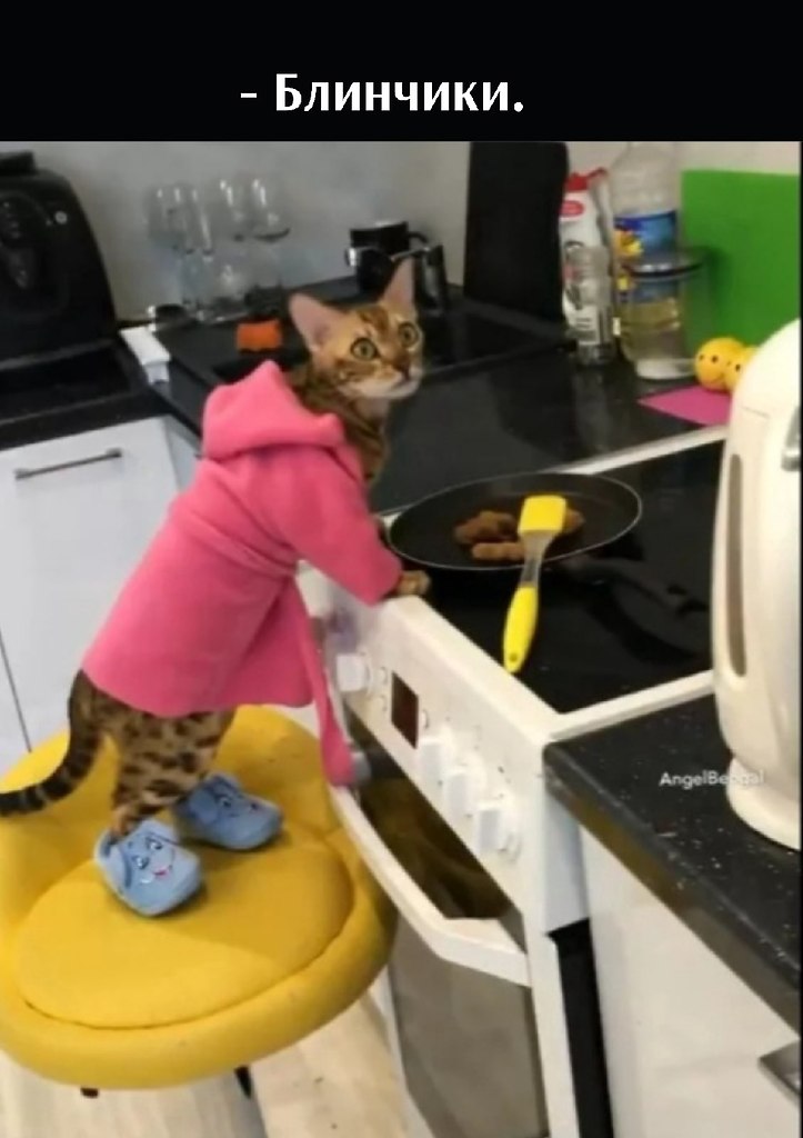       - 9  2025  16:03 - 3