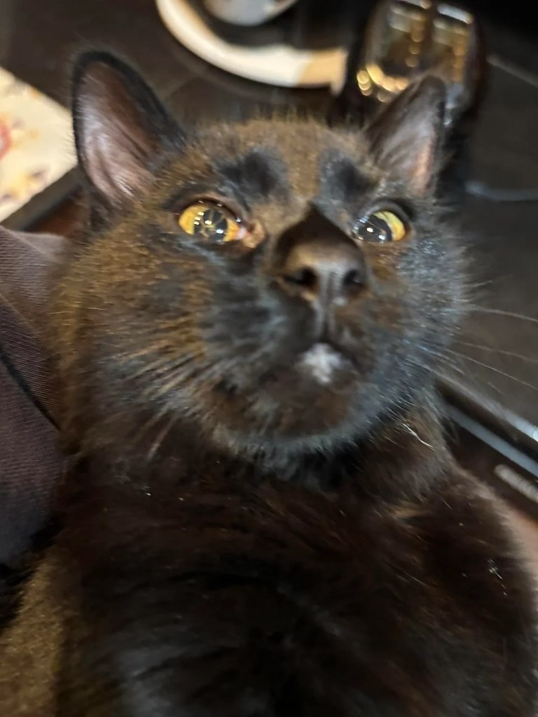    Reddit    ,      ... - 3