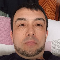 �����, ����, 44 ����