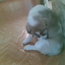 ���� �������, ���, 46 ��� - ��������� 21 ������� 2025 � ������ ���� ����������