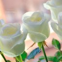 ���� �����, ������� - ��������� 27 ���� 2025 � ������ ���� ����������