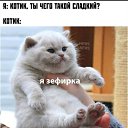 ���� ����, ��������� - ��������� 20 ����� 2026 � ������ ������ ��������