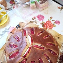 �����, �����-���������, 45 ���