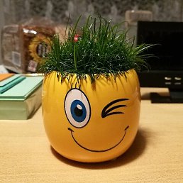 �������, ������, 47 ���