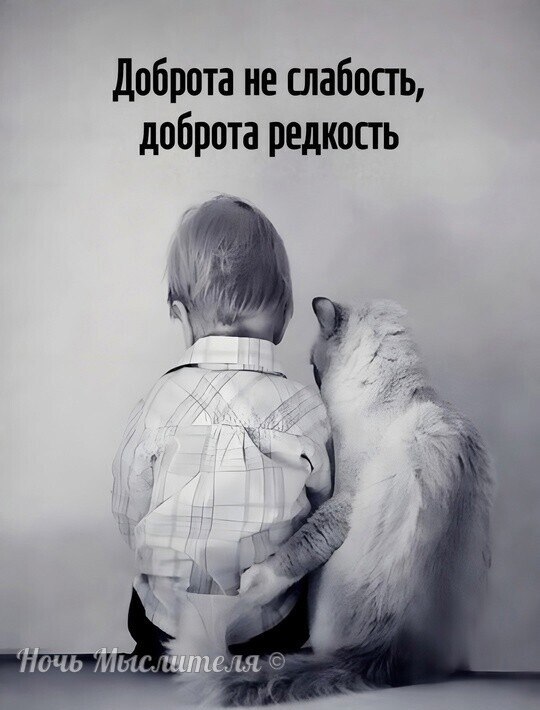 Геннадий - 21 июня 2025 в 05:56