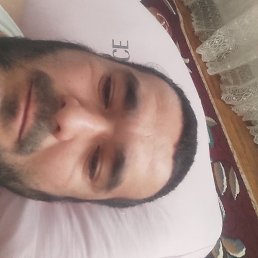 ����, �������, 43 ����