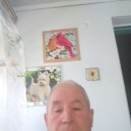 ,, 50, 