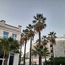 ���� ��, ������-��-���� - ��������� 10 ������� 2024 � ������ �������� ������� 24�