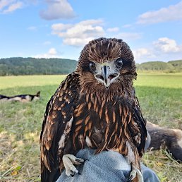 ���� ����, ����������, 57 ��� - ��������� 12 ������� 2025