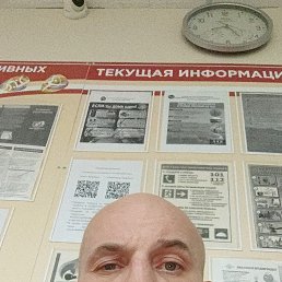 �����, 41 ���, ������