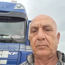 , 66, 