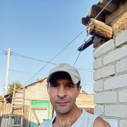 , 40, 