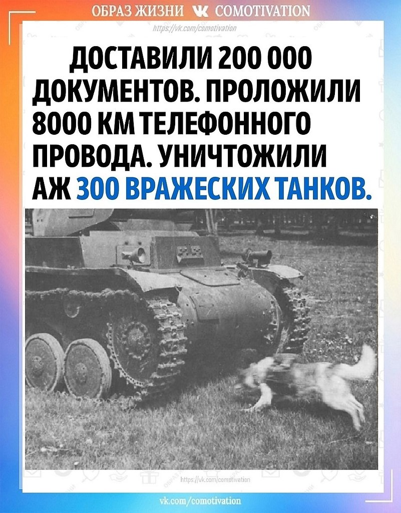 80   .          ... - 2