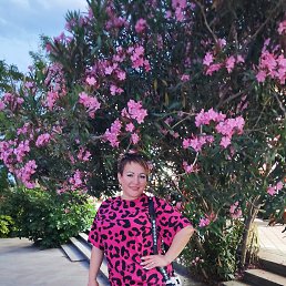 ���� ���������, ������, 42 ���� - ��������� 6 ���� 2025