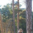 ���� �����, ������������, 54 ���� - ��������� 14 ������ 2026 � ������ ���� ����������