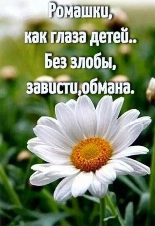  - 23  2024  07:02