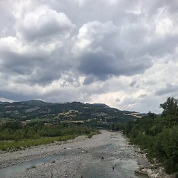 Ricky, �����-���������, 37 ���