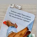 ���� Nika, ������ - ��������� 10 ����� 2026 � ������ ������ ��������