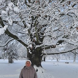 �����, �������