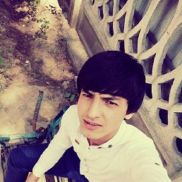 ����, �����-���������, 35 ���