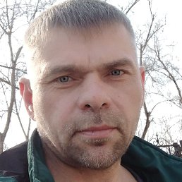 �������, ����, 46 ���