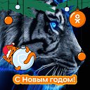 ���� ����, ����, 20 ��� - ��������� 7 �������� 2025 � ������ ���� ����������