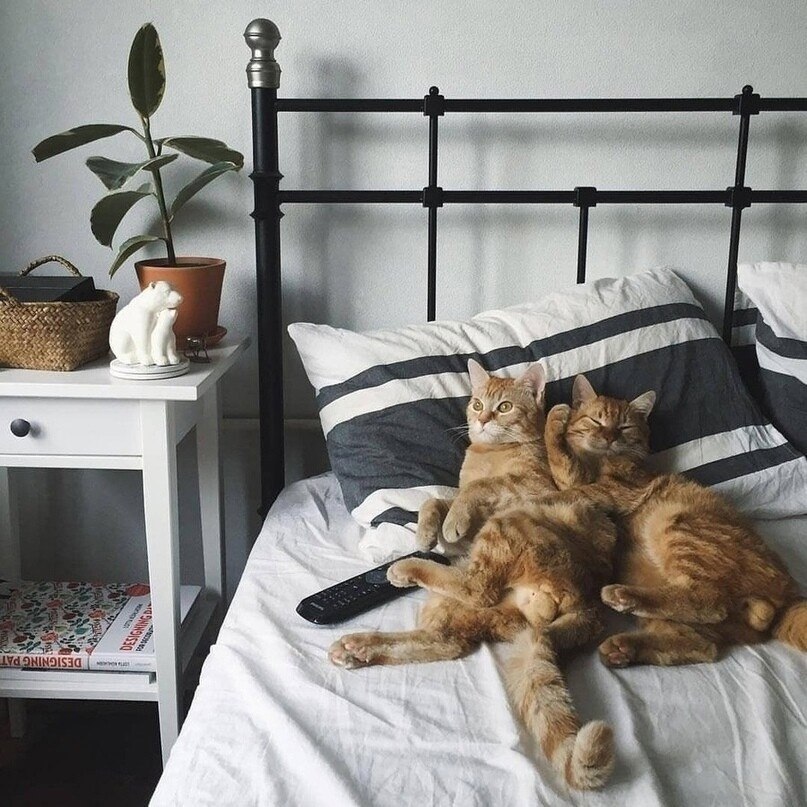     ,    !)