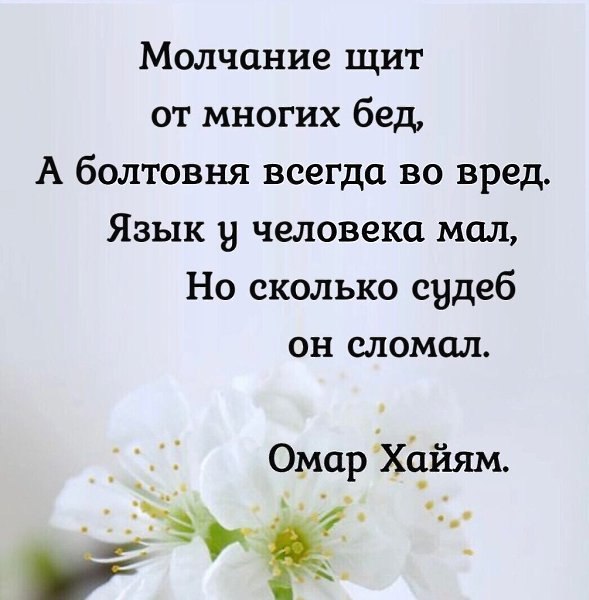   ... - 7  2025  22:37