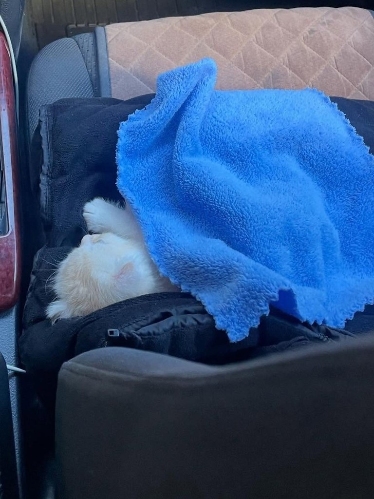 ����� � ������ ��������� ���� � ����� � ������� ��� - 2