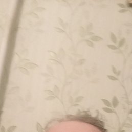 ����, �����, 50 ���