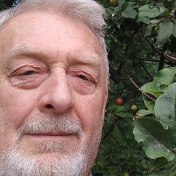 ���������, ������, 80 ���