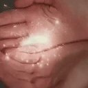 ���� ������, ������ - ��������� 31 ������ 2026 � ������ ���� ����������