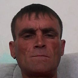 ������, ����, 49 ���