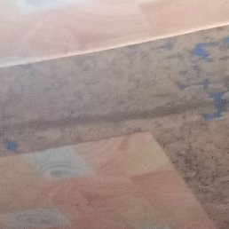 ����, ������, 54 ����