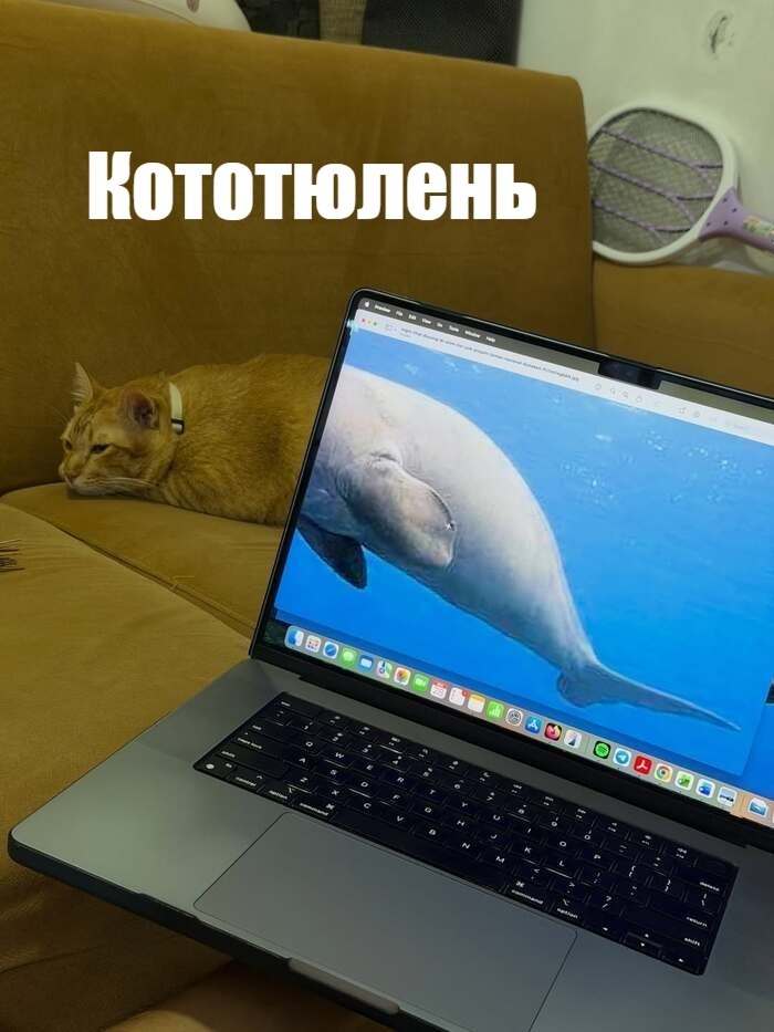 ��� ���� � ����� �� �� - 17 ������� 2025 � 18:03