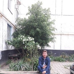 ������, ������������, 71 ���