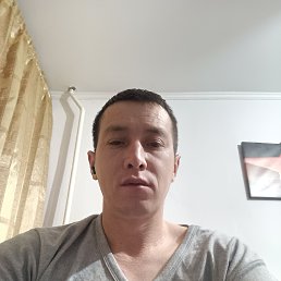 , 39, 