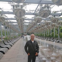 ���������, ���������, 43 ����