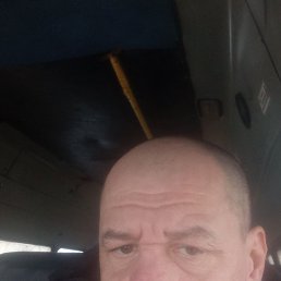 ������, 47 ���, ���������