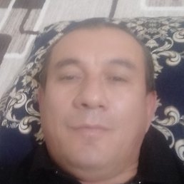 �����, �����������, 49 ���