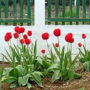 ���� ���������, ���������� - ��������� 14 ��� 2025 � ������ ���� ������