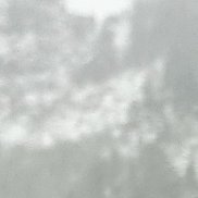 ��������, 36 ���, ������