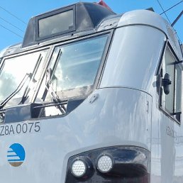 ���� ������, ���������, 49 ��� - ��������� 28 ������� 2023