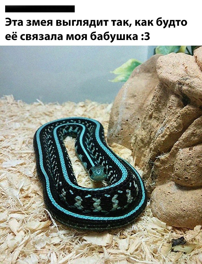 ��� �������� �������� - 8 ������� 2026 � 00:36