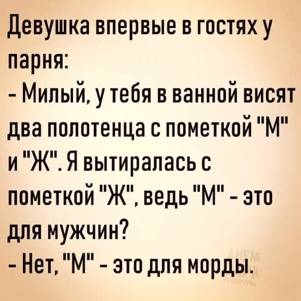 ☆ ☆ - 5  2023  21:34