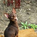 ����. �� ������� ������ ��������