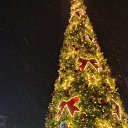 ���� �����, ������, 60 ��� - ��������� 16 ������ 2026