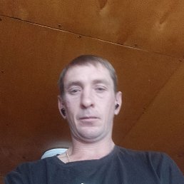 ������, 37 ���, ����������