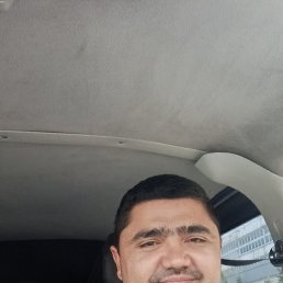 , 32, 