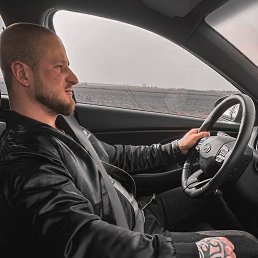 ���� ���������, ���, 44 ���� - ��������� 26 ����� 2026